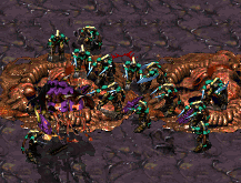 StarCraft Screenshot